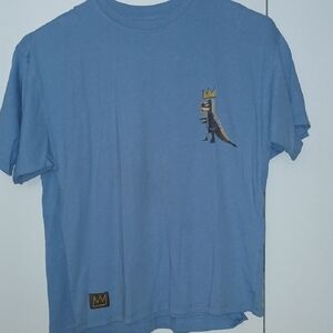 Zara Blue Kids Short Sleeve Tee with Dinosaur Print